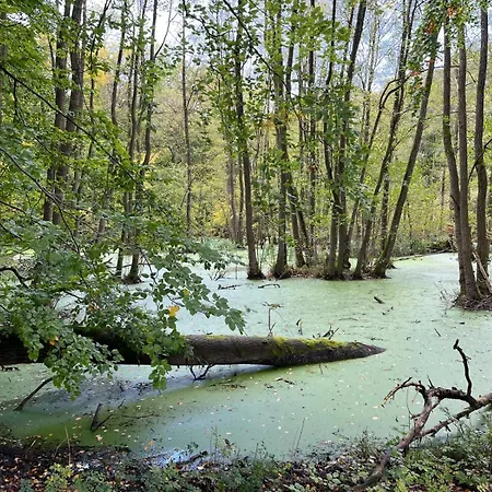 Landurlaub Mecklenburgische Seenplatte Bei Waren Müritz