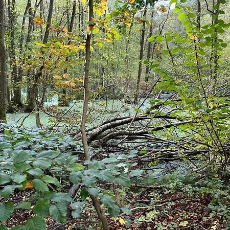 Landurlaub Mecklenburgische Seenplatte Bei Waren Müritz Apartment Peenehagen