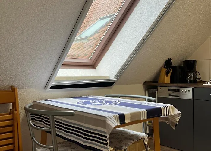 Landurlaub Mecklenburgische Seenplatte Bei Waren Mueritz *