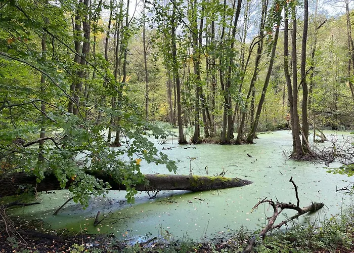 Landurlaub Mecklenburgische Seenplatte Bei Waren Mueritz