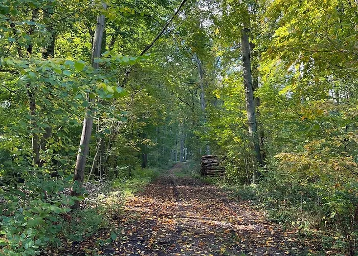 Landurlaub Mecklenburgische Seenplatte Bei Waren Mueritz Peenehagen