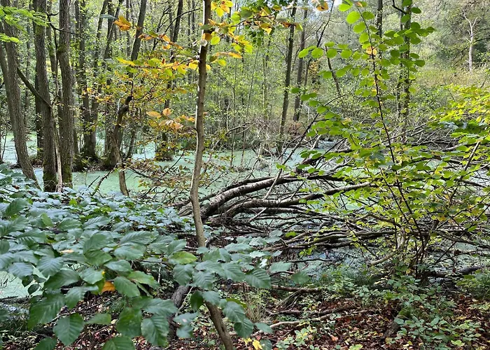 Landurlaub Mecklenburgische Seenplatte Bei Waren Mueritz Apartmán Peenehagen