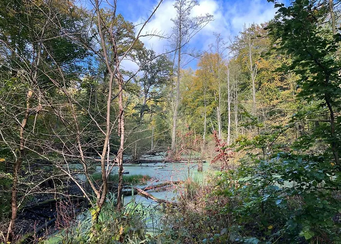 Apartmán Landurlaub Mecklenburgische Seenplatte Bei Waren Mueritz *